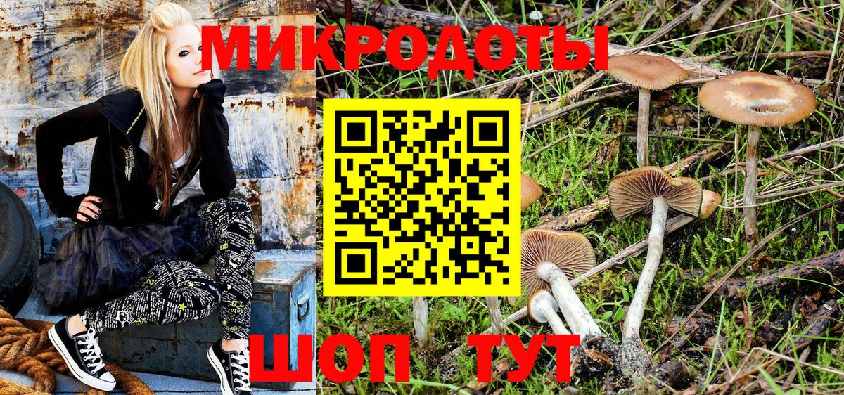 Галлюциногенные грибы Psilocybe  Вход с VPN  Кизилюрт 