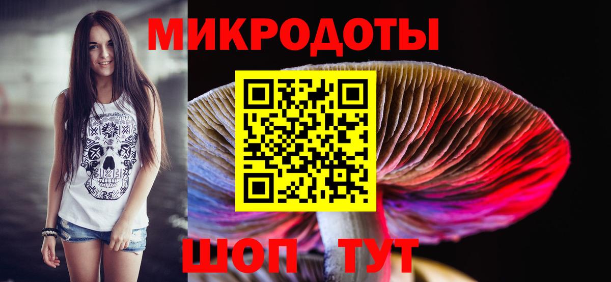 Псилоцибиновые грибы Psilocybe Кизилюрт