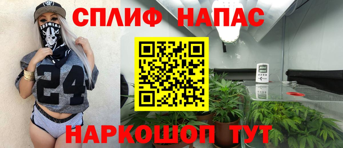 Кизилюрт  Конопля Ganja  Конопля Bruce Banner  Вход с VPN  Бошки марихуана индика 